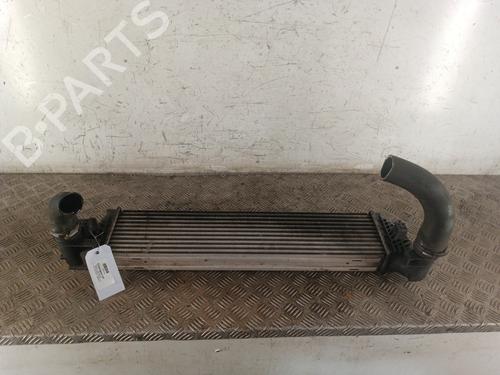Intercooler RENAULT ESPACE IV (JK0/1_) 2.0 dCi (JK01, JK02, JK1J, JK1K, JK1H) (150 hp) 30059905