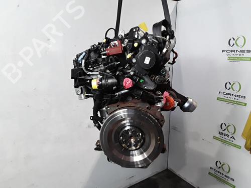 Engine FORD C-MAX II (DXA/CB7, DXA/CEU) 2.0 TDCi | BP30021184M1