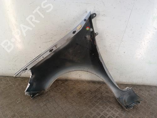 Right front fenders RENAULT CLIO III (BR0/1, CR0/1) 1.5 dCi (BR17, CR17) | BP30017230C42 