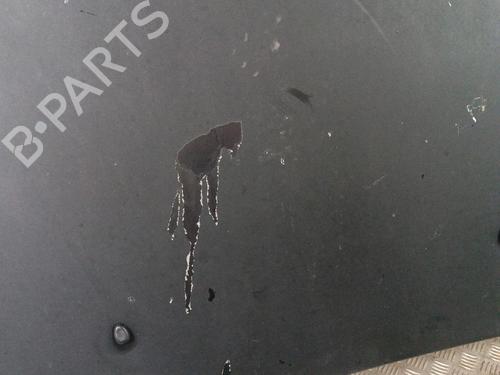 Hood PEUGEOT 407 (6D_) 1.6 HDi 110 (6D9HZC, 6D9HYC) | BP30012880C1 