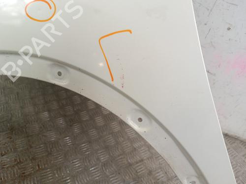 Left front fenders NISSAN QASHQAI I (J10, NJ10) 1.5 dCi | BP30014987C41 