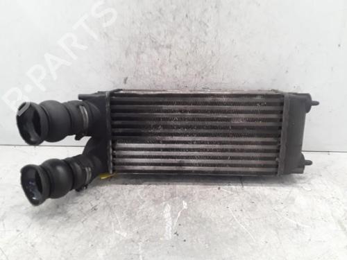 Intercooler CITROËN C4 Grand Picasso I (UA_) 1.6 HDi (109 hp) 30019320