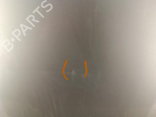 Hood DACIA SANDERO 1.4 (BS0C, BS0A, BS0G, BS1F, BS0E) | BP30022705C1 