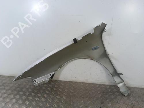 Right front fenders SEAT TOLEDO II (1M2) 1.9 TDI | BP30009526C42
