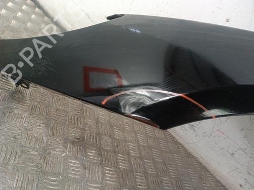 Left front fenders PEUGEOT 407 Coupe (6C_) 2.0 HDi | BP30015036C41 