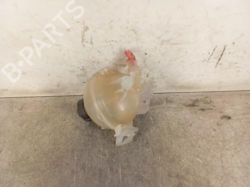 Used Expansion tank PEUGEOT 208 II (UB_, UP_, UW_, UJ_) e-208 (136 hp) 30020049
