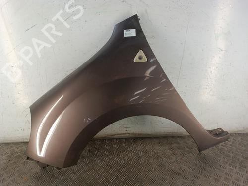 Used Left front fenders RENAULT KANGOO / GRAND KANGOO II (KW0/1_) 1.5 dCi 90 (KW05, KW08, KW0G, KW11) (90 hp) 30008175