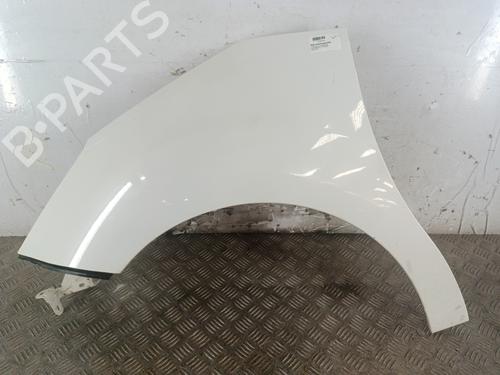 left-front-fenders-citroen-c3-ii-sc_-2009-37716022 main image
