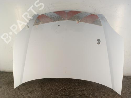 Used Hood RENAULT KANGOO (KC0/1_) 1.2 16V (KC05, KC06, KC03, KC0T, KC0W, KC1D) (75 hp) 30018060