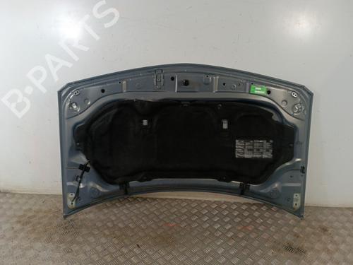 Hood RENAULT MEGANE II (BM0/1_, CM0/1_) 1.5 dCi (BM1E, CM1E) | BP30013119C1 