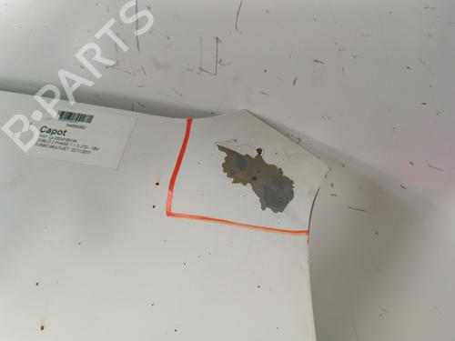 Hood FIAT DOBLO Cargo (263_) 1.3 D Multijet | BP30008650C1