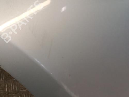 Left front fenders RENAULT CLIO III (BR0/1, CR0/1) 1.5 dCi (BR17, CR17) | BP30017229C41