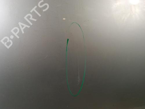 Left front door NISSAN PATHFINDER III (R51) 2.5 dCi 4WD | BP30012840C2