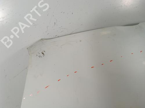 hood-fiat-doblo-cargo-263_-2010-30008650 main image