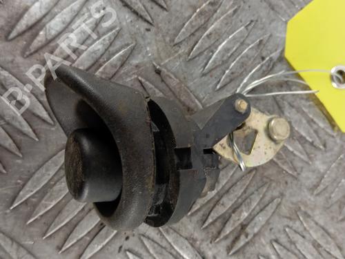 Tailgate handle RENAULT TWINGO I (C06_) 1.2 (C066, C068) | BP32258617C132