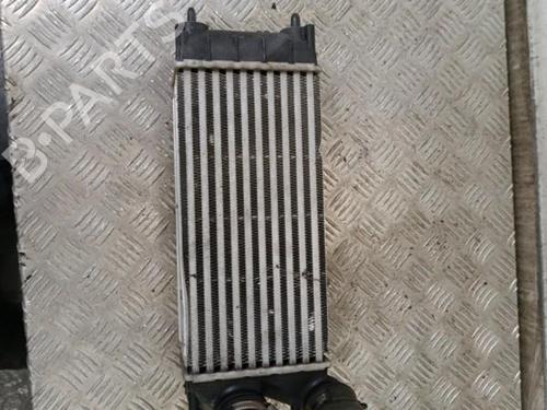 Intercooler PEUGEOT 3008 I MPV (0U_) 1.6 HDi | BP30019032M30