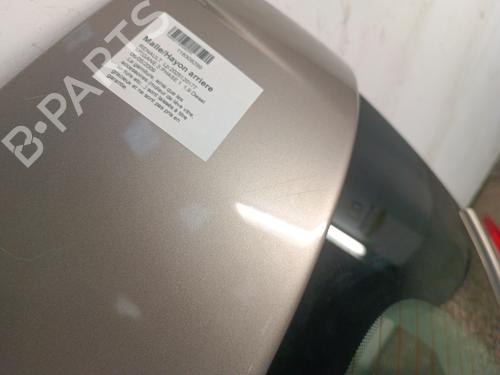 Tailgate RENAULT MEGANE III Hatchback (BZ0/1_, B3_) 1.9 dCi (BZ0N, BZ0J) | BP31095305C6