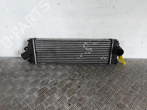 Intercooler radiateur RENAULT TRAFIC II Bus (JL) 2.0 dCi 90 (JL00, JL01, JL0H, JL0M, JL0P, JL0S) (90 hp) 30027057