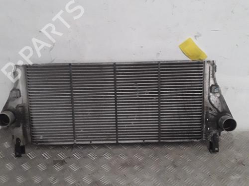 Intercooler RENAULT LAGUNA II (BG0/1_) 1.9 dCi (107 hp) 30018887