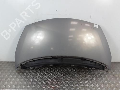 Panser RENAULT ESPACE IV (JK0/1_) 2.0 Turbo (JK0A, JK0B, JK0N) (163 hp) 30026681