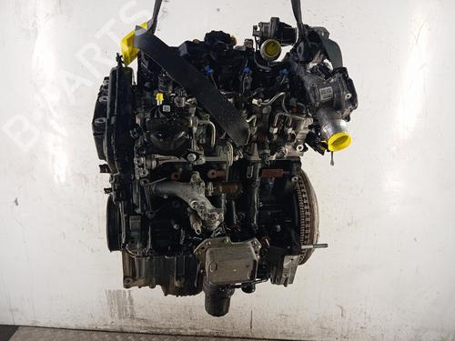 Engine RENAULT EXPRESS Box Body/MPV 1.5 Blue dCi 75 (F6AA) | BP39728046M1  - Image 5