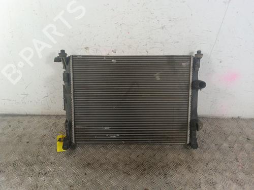 Wasserkühler RENAULT SCÉNIC II (JM0/1_) 1.5 dCi (JM1E, JM16) | BP30020637M31