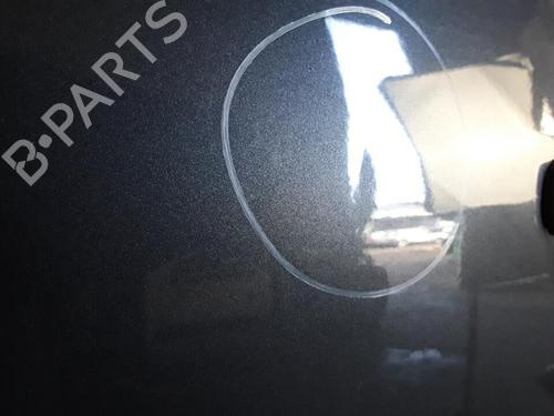 Drzwi przednie lewe FORD FOCUS C-MAX (DM2) 2.0 TDCi | BP30021838C2