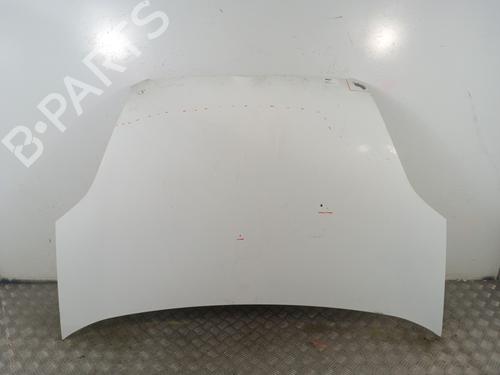Used Hood FIAT DOBLO Cargo (263_) 1.3 D Multijet (90 hp) 30008650