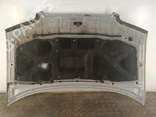 Hood HYUNDAI TRAJET (FO) 2.0 CRDi | BP30018205C1 