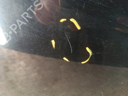 Klapa tylna bagażnika VW GOLF V (1K1) 1.9 TDI | BP30007417C6 