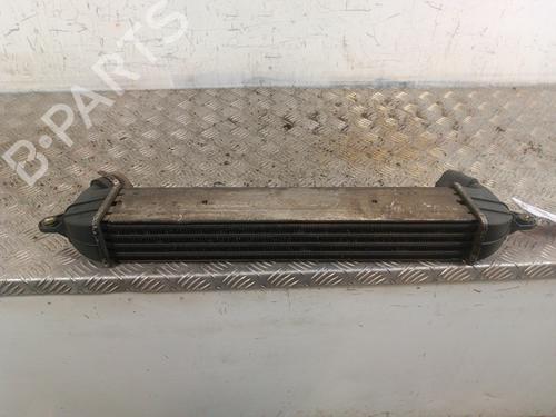 Intercooler FIAT DOBLO MPV (119_, 223_) 1.3 JTD 16V | BP30011097M30 