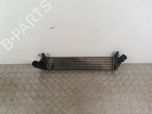 Used Intercooler DACIA LOGAN MCV (KS_) 1.5 dCi (KS0W) (86 hp) 30018366