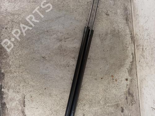 Used Tailgate lift support RENAULT KANGOO Express (FW0/1_) 1.5 dCi 95 (FW16) (95 hp) 30019756
