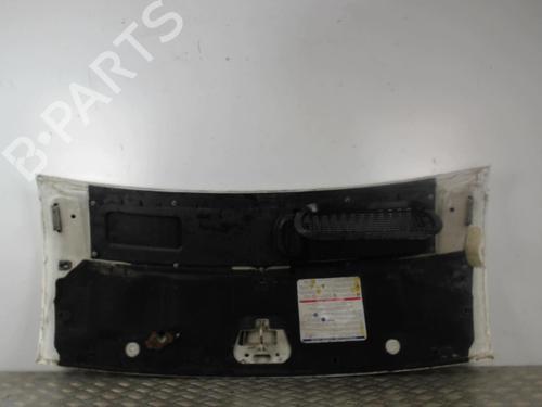 Hood FIAT DUCATO Van (250_) 160 Multijet 3,0 D | BP30027666C1 