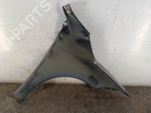 Left front fenders RENAULT MEGANE III Hatchback (BZ0/1_, B3_) 1.2 TCe (BZ16, BZ28) | BP30008195C41
