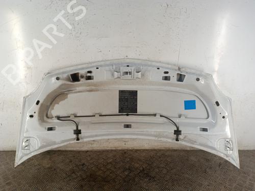 hood-renault-kangoo-express-fw01_-2008-30025026 main image