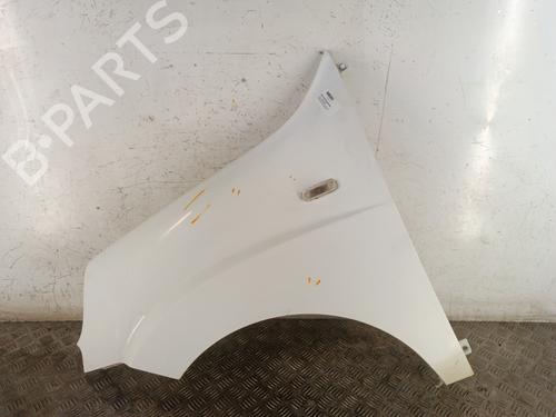 Used Left front fenders FIAT DOBLO Box Body/MPV (223_) 1.3 D Multijet (75 hp) 30298090