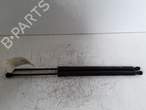 Used Tailgate lift support RENAULT MODUS / GRAND MODUS (F/JP0_) 1.2 (JP0C, JP0K, FP0C, FP0K, FP0P, JP0P, JP0T) (75 hp) 30022082