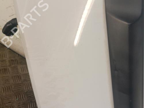 Left rear door RENAULT CLIO III (BR0/1, CR0/1) 1.5 dCi (C/BR0G, C/BR1G) | BP30019812C4