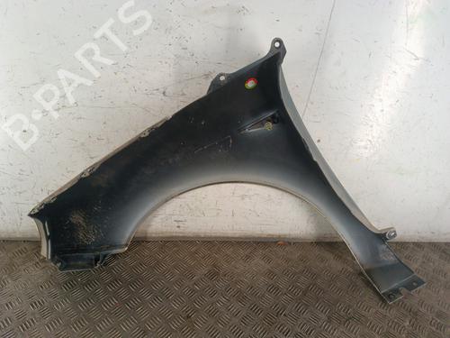 Right front fenders RENAULT SCÉNIC II (JM0/1_) 1.9 dCi (JM0G, JM12, JM1G, JM2C) | BP30017057C42