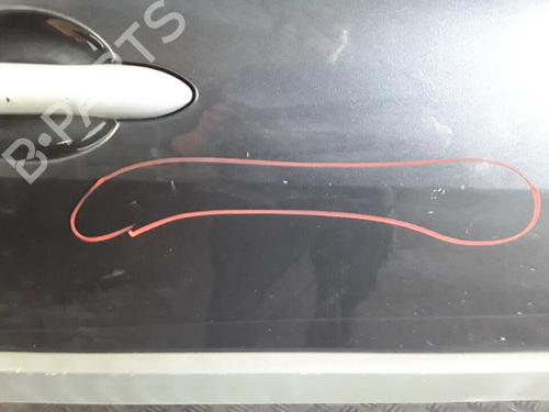 Right front door RENAULT MEGANE II (BM0/1_, CM0/1_) 1.5 dCi (BM1E, CM1E) | BP30016157C3