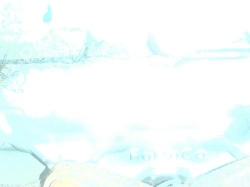 Engine PEUGEOT 407 Coupe (6C_) 2.0 HDi | BP33692199M1  - Image 8