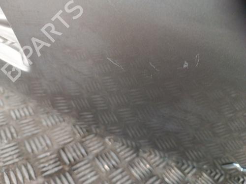 Tailgate RENAULT MEGANE III Hatchback (BZ0/1_, B3_) 1.9 dCi (BZ0N, BZ0J) | BP31095305C6