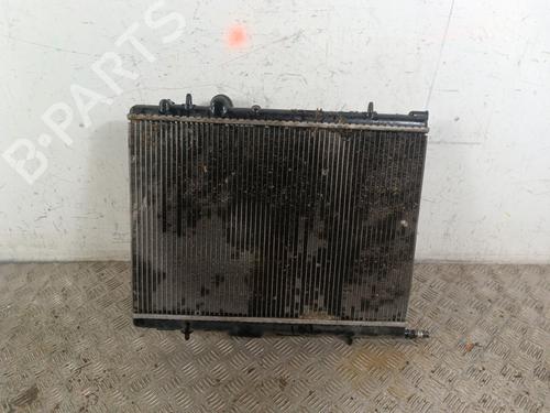 Radiator fan PEUGEOT 206 Hatchback (2A/C) 2.0 HDI 90 | BP30010871M35 