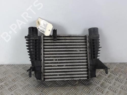 Oil radiator RENAULT MODUS / GRAND MODUS (F/JP0_) 1.5 dCi (JP0G, JP0H) | BP30027700M33
