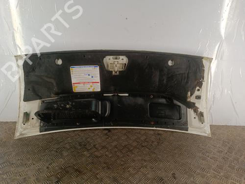 Used Hood Hood FIAT DUCATO Van (250_) 115 Multijet 2,0 D (116 hp) 33692118 33692118