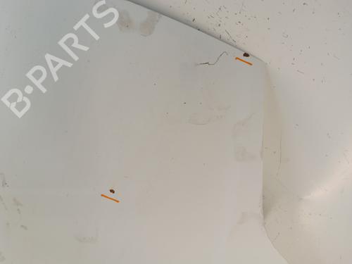 Hood FIAT GRANDE PUNTO (199_) 1.2 | BP30025524C1