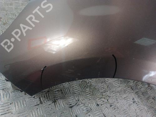 Left front fenders RENAULT GRAND SCÉNIC III (JZ0/1_) 1.9 dCi (JZ0J, JZ0N, JZ1K, JZ1S) | BP30020527C41 