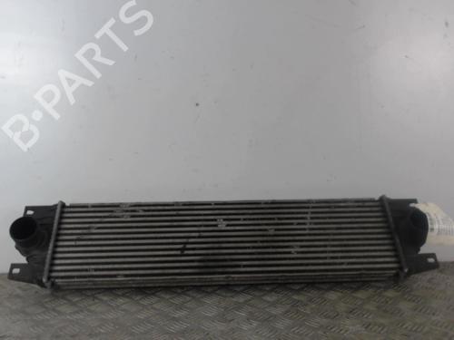 Ölkühler für RENAULT MASTER II Van (FD) 2.5 dCi (FD02) (101 hp) 30016990