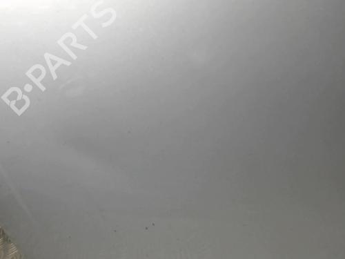 Used Hood OPEL MERIVA A MPV (X03) 1.7 CDTI (E75) (100 hp) 30022562